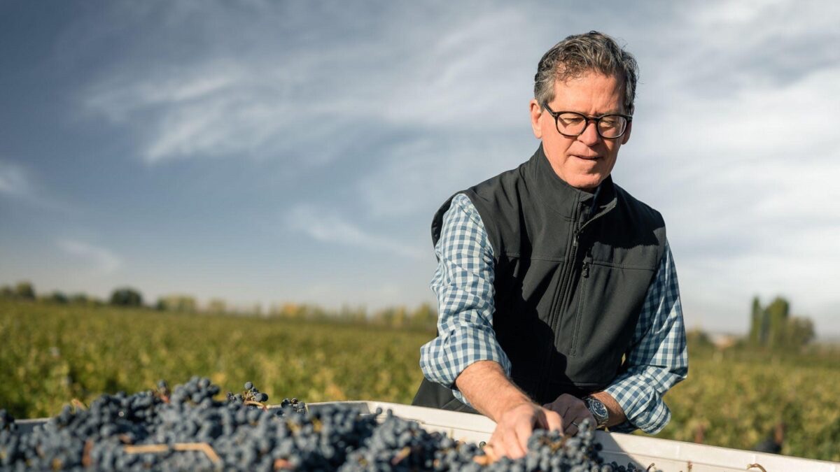 Paul Hobbs harvesting grapes